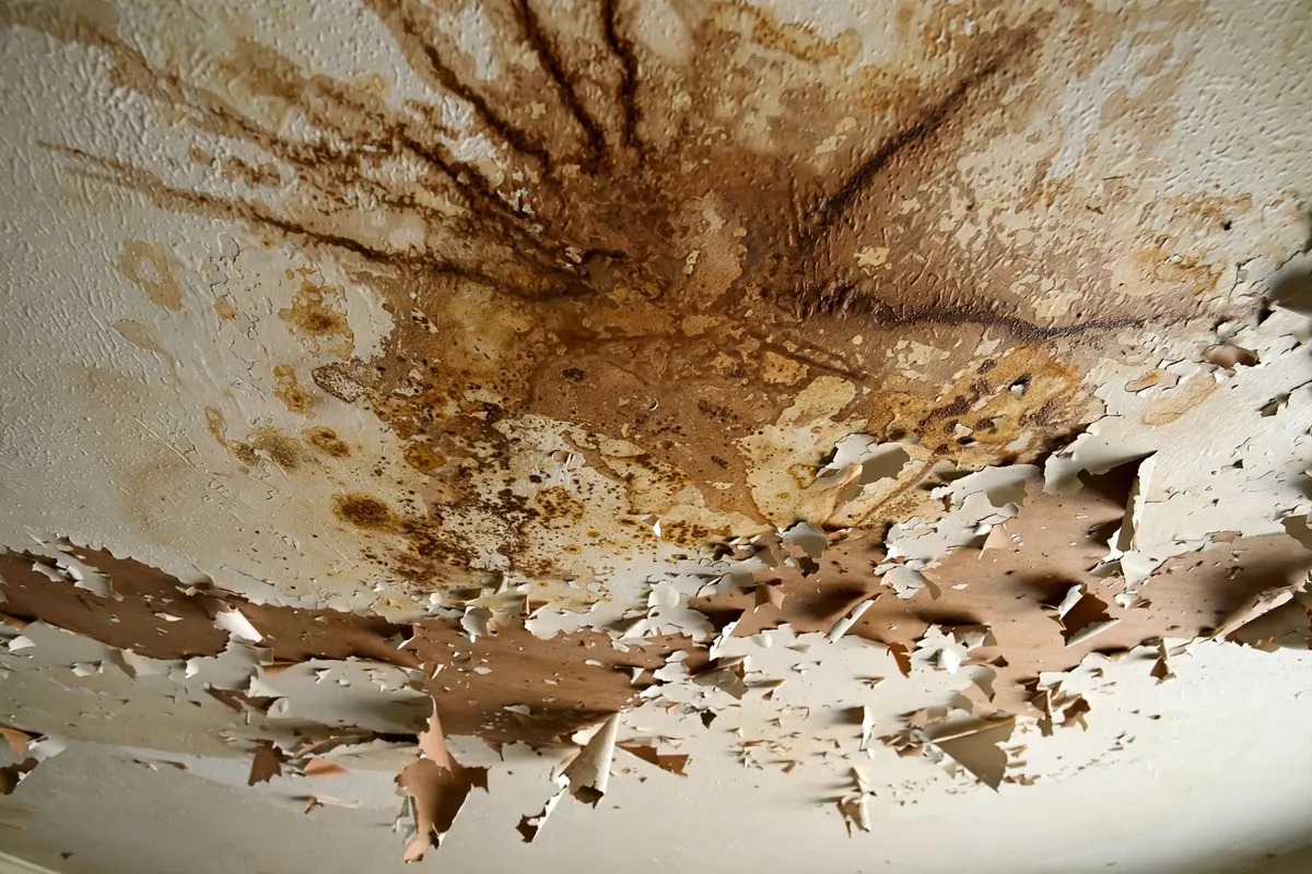 Brown water stains spreading across a ceiling with peeling paint, requiring water damage ceiling repair in McKinney